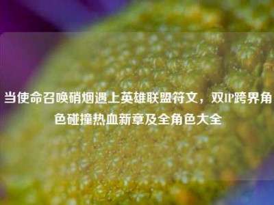 当使命召唤硝烟遇上英雄联盟符文，双IP跨界角色碰撞热血新章及全角色大全