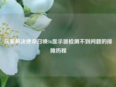 玩家解决使命召唤16显示器检测不到问题的排障历程