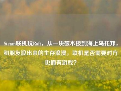 Steam联机玩Raft，从一块破木板到海上乌托邦，和朋友浪出来的生存浪漫，联机是否需要对方也拥有游戏？