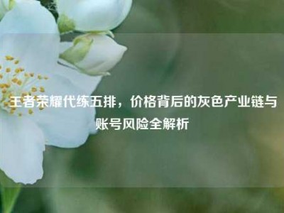 王者荣耀代练五排，价格背后的灰色产业链与账号风险全解析