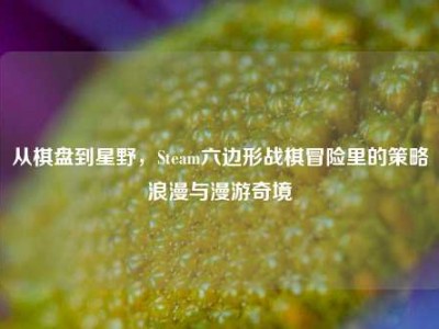 从棋盘到星野，Steam六边形战棋冒险里的策略浪漫与漫游奇境