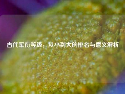 古代军衔等级，从小到大的排名与意义解析