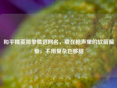 和平精英简单情侣网名，藏在枪声里的软萌偏爱，不用复杂也够甜