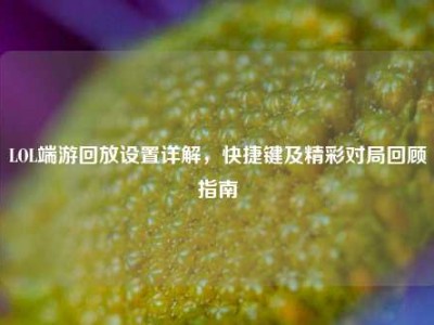 LOL端游回放设置详解，快捷键及精彩对局回顾指南