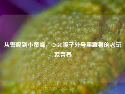 从警喷到小蜜蜂，CSGO喷子外号里藏着的老玩家青春