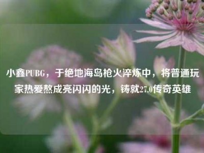 小鑫PUBG，于绝地海岛枪火淬炼中，将普通玩家热爱熬成亮闪闪的光，铸就27.0传奇英雄