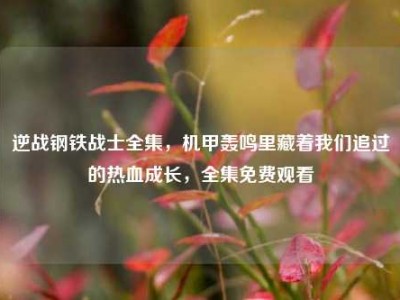 逆战钢铁战士全集，机甲轰鸣里藏着我们追过的热血成长，全集免费观看