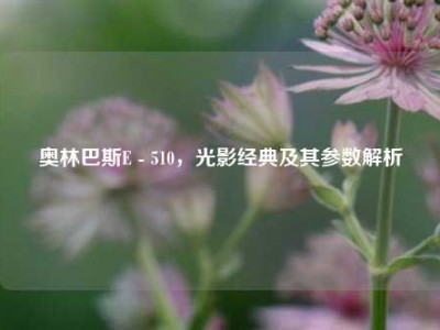 奥林巴斯E - 510，光影经典及其参数解析