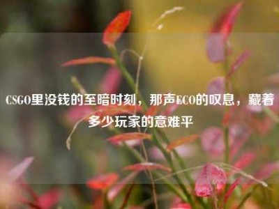 CSGO里没钱的至暗时刻，那声ECO的叹息，藏着多少玩家的意难平