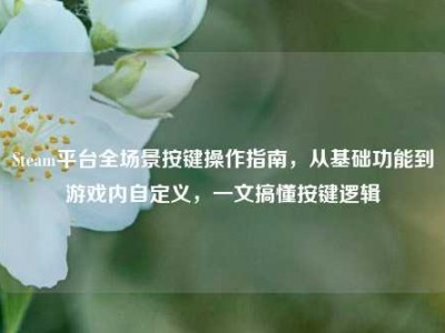 Steam平台全场景按键操作指南，从基础功能到游戏内自定义，一文搞懂按键逻辑