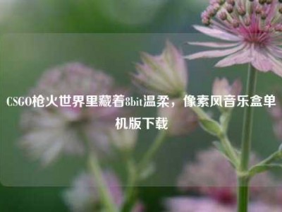 CSGO枪火世界里藏着8bit温柔，像素风音乐盒单机版下载