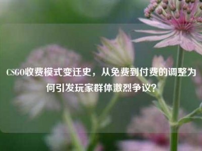 CSGO收费模式变迁史，从免费到付费的调整为何引发玩家群体激烈争议？