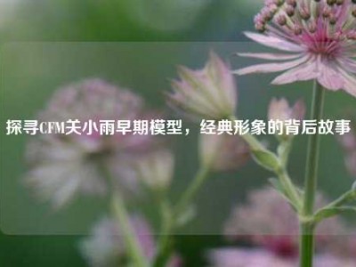 探寻CFM关小雨早期模型，经典形象的背后故事