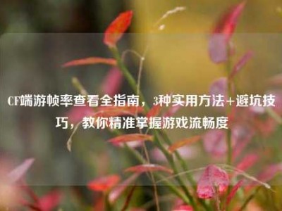 CF端游帧率查看全指南，3种实用方法+避坑技巧，教你精准掌握游戏流畅度