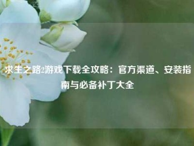 求生之路2游戏下载全攻略：官方渠道、安装指南与必备补丁大全