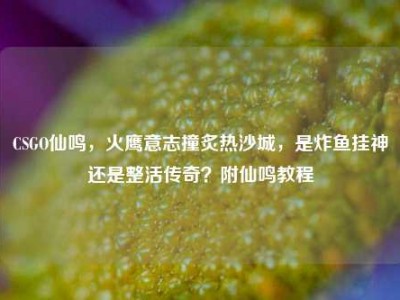 CSGO仙鸣，火鹰意志撞炙热沙城，是炸鱼挂神还是整活传奇？附仙鸣教程