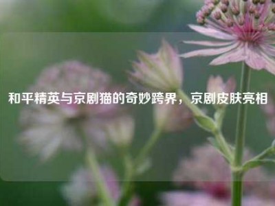 和平精英与京剧猫的奇妙跨界，京剧皮肤亮相
