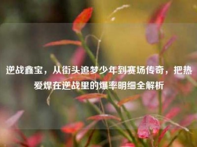 逆战鑫宝，从街头追梦少年到赛场传奇，把热爱焊在逆战里的爆率明细全解析