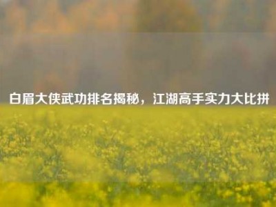 白眉大侠武功排名揭秘，江湖高手实力大比拼