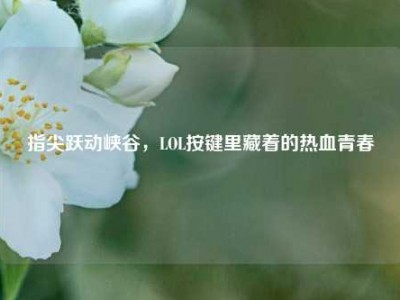 指尖跃动峡谷，LOL按键里藏着的热血青春