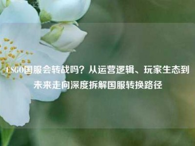 CSGO国服会转战吗？从运营逻辑、玩家生态到未来走向深度拆解国服转换路径