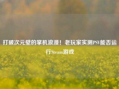 打破次元壁的掌机浪漫！老玩家实测PSV能否运行Steam游戏