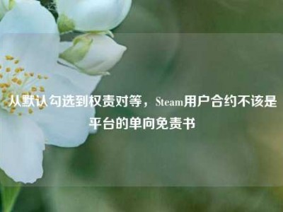 从默认勾选到权责对等，Steam用户合约不该是平台的单向免责书