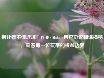 别让看不懂埋坑！PUBG Mobile用户协议翻译揭秘，藏着每一位玩家的权益边界