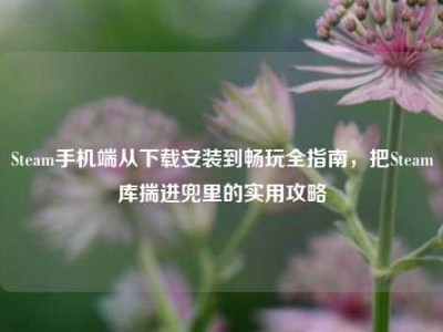 Steam手机端从下载安装到畅玩全指南，把Steam库揣进兜里的实用攻略
