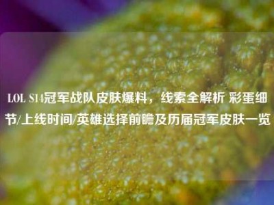 LOL S14冠军战队皮肤爆料，线索全解析 彩蛋细节/上线时间/英雄选择前瞻及历届冠军皮肤一览