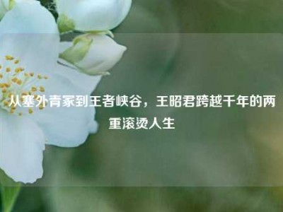 从塞外青冢到王者峡谷，王昭君跨越千年的两重滚烫人生