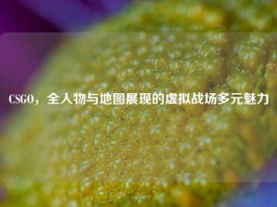 CSGO，全人物与地图展现的虚拟战场多元魅力