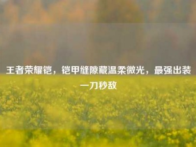 王者荣耀铠，铠甲缝隙藏温柔微光，最强出装一刀秒敌