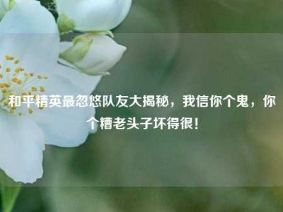 和平精英最忽悠队友大揭秘，我信你个鬼，你个糟老头子坏得很！
