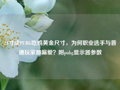 24寸成PUBG吃鸡黄金尺寸，为何职业选手与普通玩家都偏爱？附pubg显示器参数
