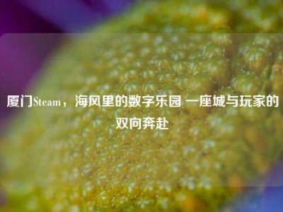 厦门Steam，海风里的数字乐园 一座城与玩家的双向奔赴
