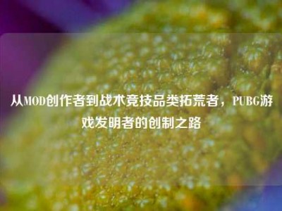 从MOD创作者到战术竞技品类拓荒者，PUBG游戏发明者的创制之路