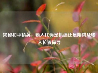 揭秘和平精英，输入代码是机遇还是陷阱及输入位置探寻