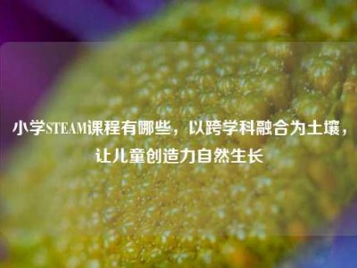 小学STEAM课程有哪些，以跨学科融合为土壤，让儿童创造力自然生长