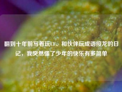 翻到十年前写着玩CF、和伙伴玩成语接龙的日记，我突然懂了少年的快乐有多简单