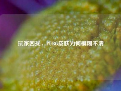 玩家困扰，PUBG皮肤为何模糊不清