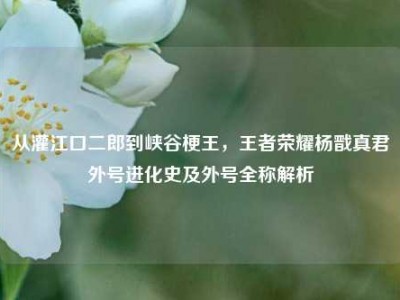 从灌江口二郎到峡谷梗王，王者荣耀杨戬真君外号进化史及外号全称解析