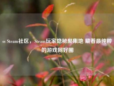 ss Steam社区，Steam玩家隐秘聚集地 藏着最纯粹的游戏同好圈