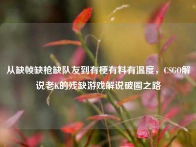 从缺帧缺枪缺队友到有梗有料有温度，CSGO解说老K的残缺游戏解说破圈之路