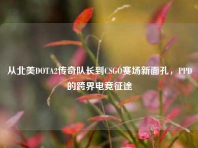 从北美DOTA2传奇队长到CSGO赛场新面孔，PPD的跨界电竞征途