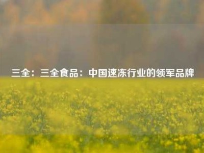 三全：三全食品：中国速冻行业的领军品牌