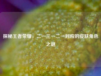探秘王者荣耀，二一三一二一对应的皮肤角色之谜