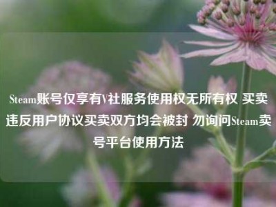 Steam账号仅享有V社服务使用权无所有权 买卖违反用户协议买卖双方均会被封 勿询问Steam卖号平台使用方法