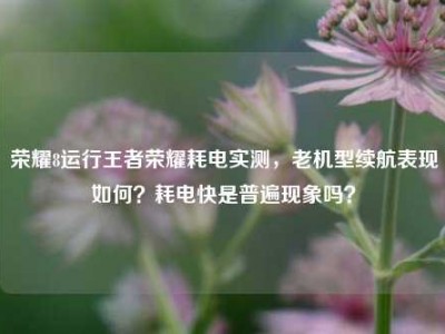 荣耀8运行王者荣耀耗电实测，老机型续航表现如何？耗电快是普遍现象吗？