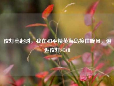 夜灯亮起时，我在和平精英海岛接住晚风，邂逅夜灯SCAR